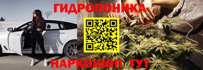 ECSTASY Пенза